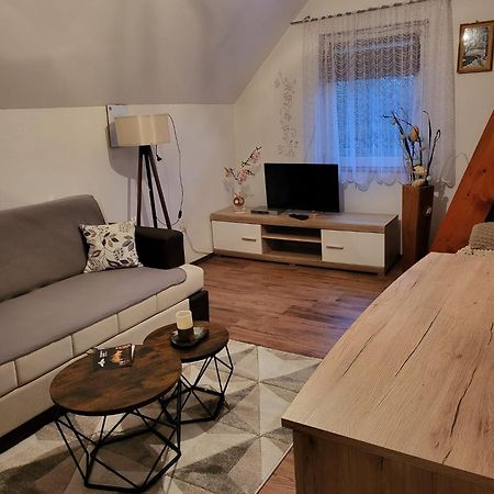 Apartments Matovina Saborsko Bagian luar foto